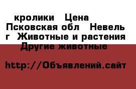 кролики › Цена ­ 500 - Псковская обл., Невель г. Животные и растения » Другие животные   